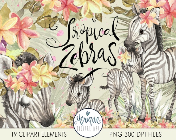 Zebra clipart watercolor, mother baby zebra clipart, cute zebra, safari animals, nursery art, zebra flowers, Kids Clipart, Nursery Decor
