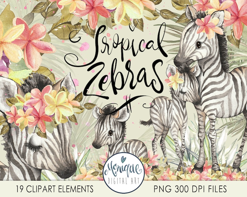 K&ouml;nnte beinhalten: Aquarell-Illustration von drei Zebras mit tropischen Blumen. Die Zebras sind schwarz-wei&szlig; mit einem gestreiften Muster. Die Blumen sind rosa, gelb und wei&szlig;. Der Text "Tropical Zebras" ist in Kursivschrift geschrieben.
