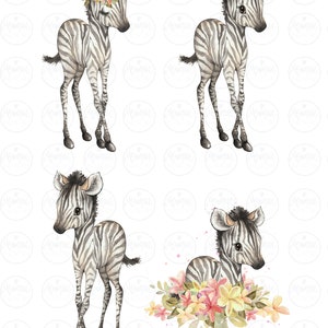 K&ouml;nnte beinhalten: Vier Aquarell-Illustrationen eines Zebra-Fohlens. Ein Zebra tr&auml;gt eine Blumenkrone. Ein anderes Zebra ist von rosa, gelben und orangefarbenen Blumen umgeben. Die Illustrationen sind auf wei&szlig;em Hintergrund.