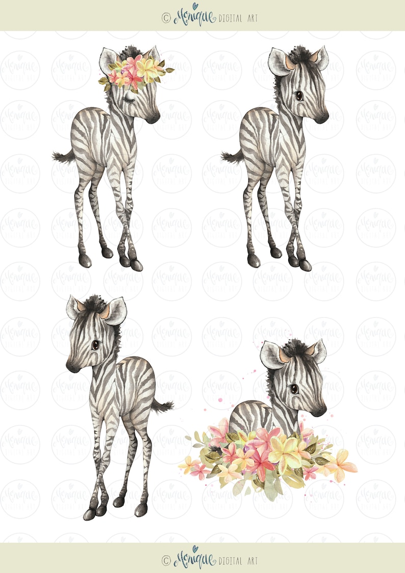 K&ouml;nnte beinhalten: Vier Aquarell-Illustrationen eines Zebra-Fohlens. Ein Zebra tr&auml;gt eine Blumenkrone. Ein anderes Zebra ist von rosa, gelben und orangefarbenen Blumen umgeben. Die Illustrationen sind auf wei&szlig;em Hintergrund.