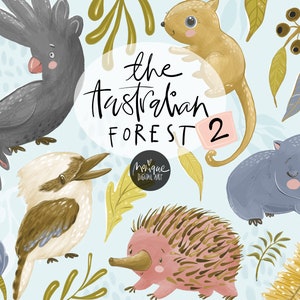 clipart de animais australianos, cacatua, kookaburra, wombat, equidna, gambá, flores, gráficos australianos, arte caprichosa, arte digital monique