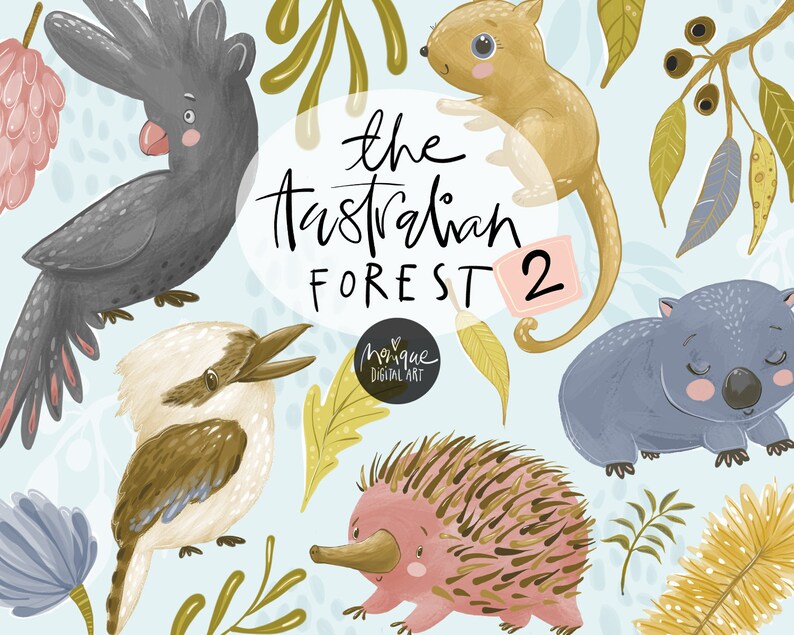Puede incluir: Un conjunto de ilustraciones digitales con animales de dibujos animados adorables del bosque australiano. El conjunto incluye un kookaburra, un equidna, un wombat, un opossum y un cacat&uacute;a negro. El texto "The Australian Forest 2" est&aacute; escrito en una fuente caprichosa.