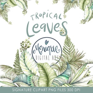 Clipart de feuilles tropicales, aquarelle de feuilles tropicales, feuilles clipart, feuilles vertes, feuilles de palmier, clipart de fougère, clipart de feuille, fougère aquarelle