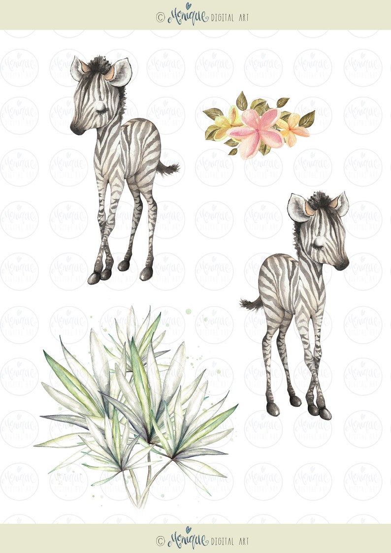 K&ouml;nnte beinhalten: Zwei Aquarell-Illustrationen von Baby-Zebras mit schwarzen und wei&szlig;en Streifen. Die Zebras stehen auf einem wei&szlig;en Hintergrund. Es gibt auch eine Aquarell-Illustration einer gr&uuml;nen tropischen Pflanze mit wei&szlig;en Bl&auml;ttern.