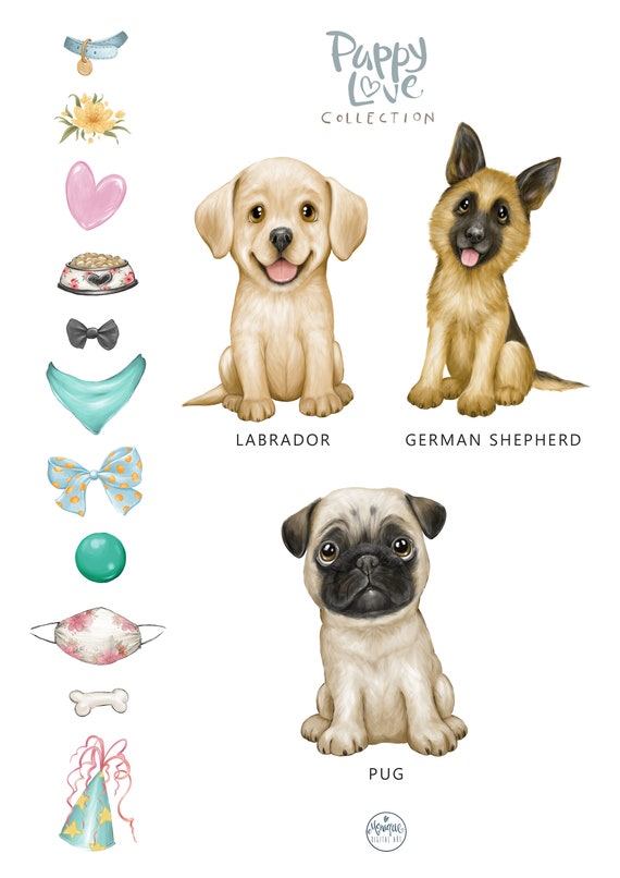 German shepherd cheap pug puppies