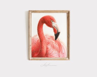 May include: A framed illustration of a pink flamingo with its head turned to the side. The flamingo is drawn in a realistic style with detailed feathers.
