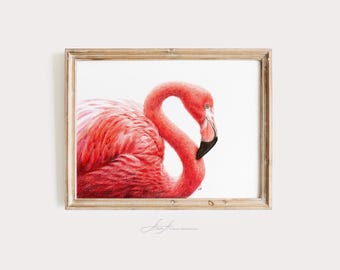 May include: A framed drawing of a pink flamingo with its head turned to the side. The flamingo is drawn in a realistic style with detailed feathers and a long neck.