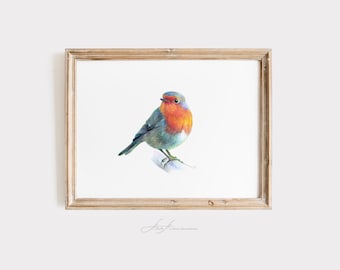 Bird Art Print – Realistic Colored Pencil Drawing – Robin Giclée Print – Cottagecore Wall Art – Botanical Animal Illustration