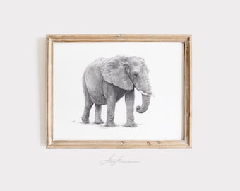 象の鉛筆画 B4最後価格 象の鉛筆画 | サファリ動物アート - Etsy 日本