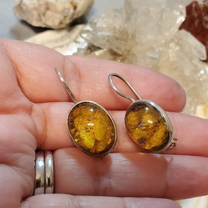 Amber Dangle Earrings