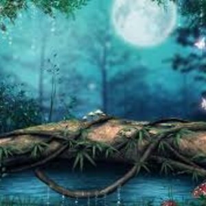 Tarot Psíquico 4 semanas por delante Información de predicción enviada por correo electrónico