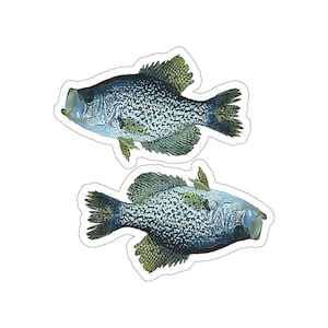crappie stickers, crappie decals, crappie gifts, crappie fisherman gift, crappie fisherman stickers, fishing stickers, fish Die-Cut Stickers