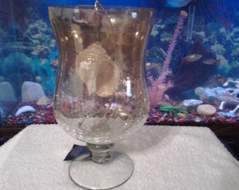 Tonna Seashell Glitter Sparkling Beach Decor, Nautical Centerpiece (3.5-4")