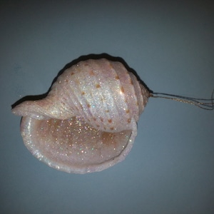 Seashell Spotted Tonna Glitter Sparkling    Exotic  Hanging    Memento Seashell    Seashell Centerpiece