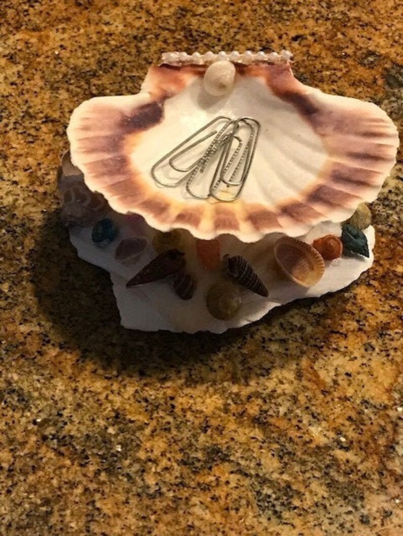 Holder Paper Clip SeaShell Sea Shell Ring Holder Beach Seashell Jewelry Holder