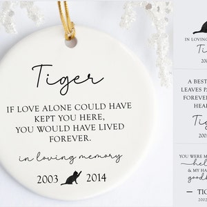 Katze Erinnerungsschmuck, personalisierte Katze Erinnerungsschmuck, individuelle Katze Verlust Andenken, Haustier Sympathie Geschenk, Katze Trauer