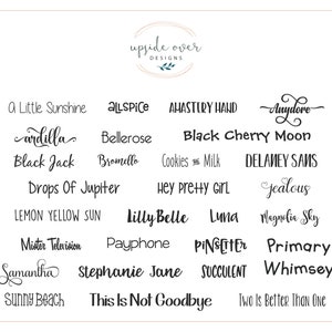 May include: A list of 24 unique names written in cursive script. The names are arranged in four columns and are all in black ink on a white background.