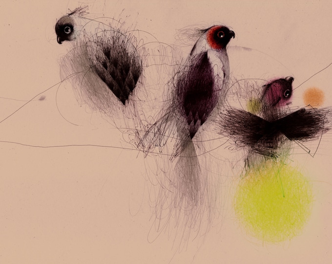 Giclée limited edition print / Three Little Birds Drawing