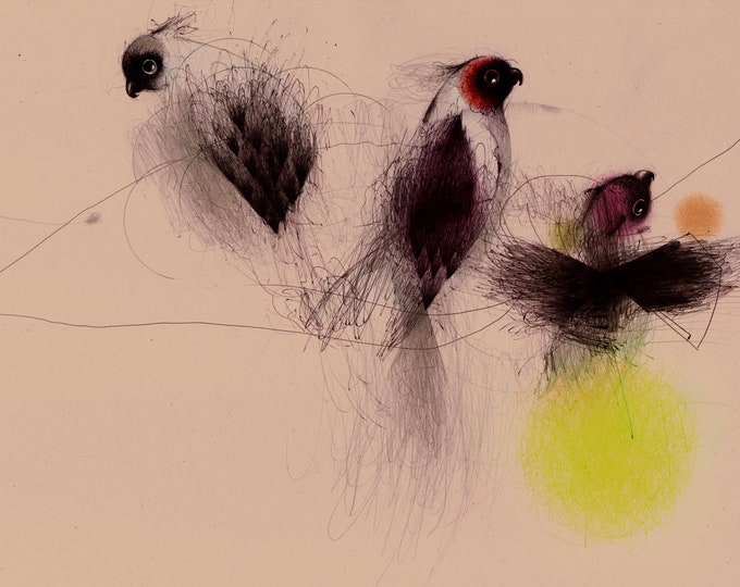 Giclée limited edition print / Three Little Birds Drawing