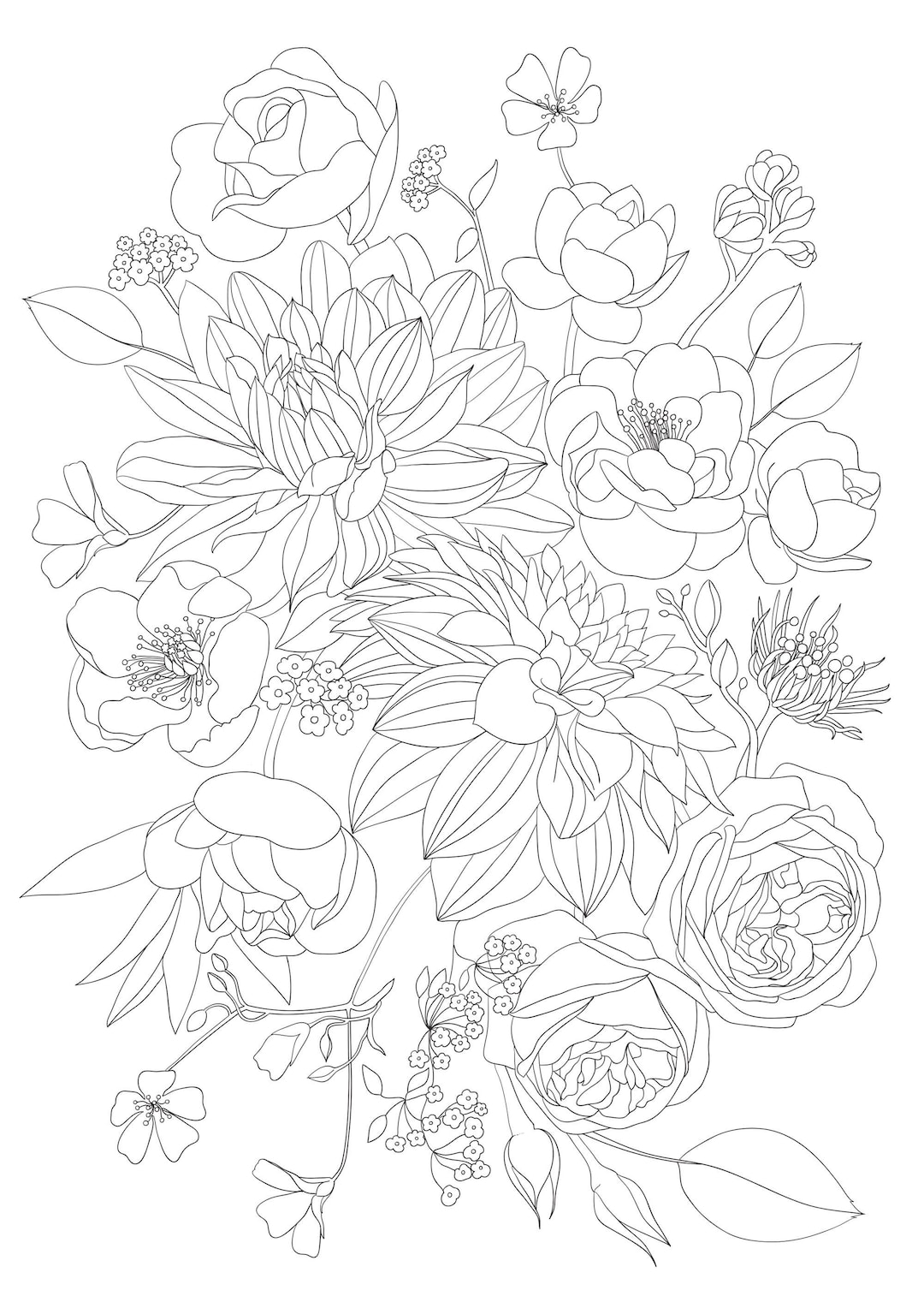 Coloriage Aquarelle Adulte à Imprimer 4 Coloriages Fleurs Adultes A Imprimer PNG / A4 Roses - Etsy Canada