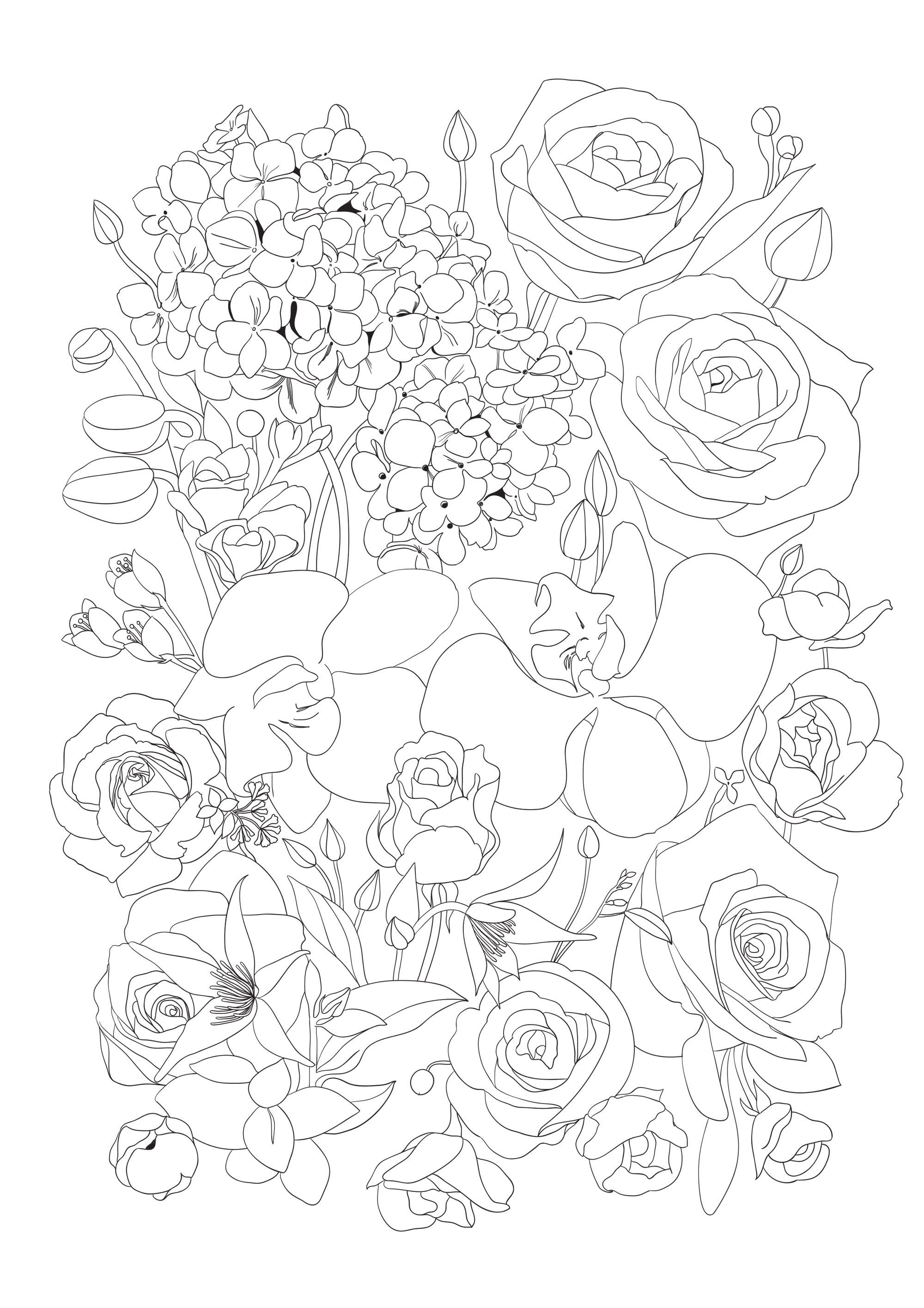 4 Printable Adult Flowers Coloring Pages, PNG, A4, Roses and ...