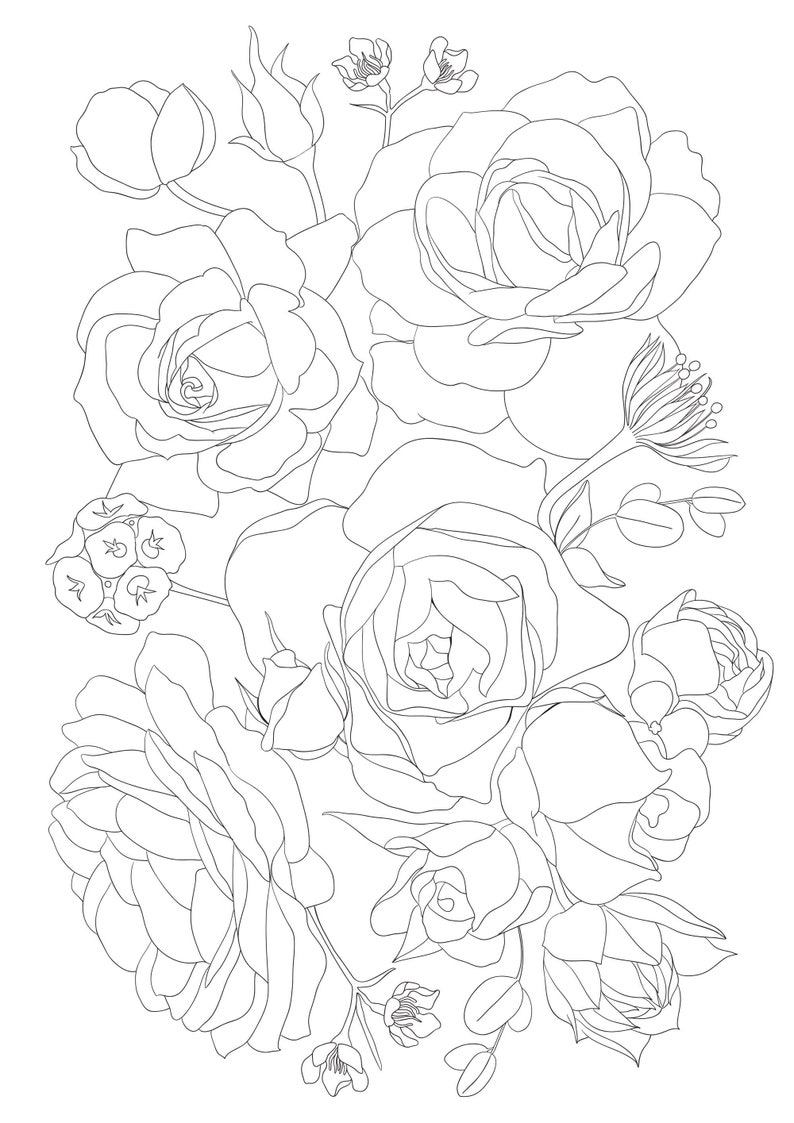 4 Printable Adult Flowers Coloring Pages, PNG, A4, Roses and ...