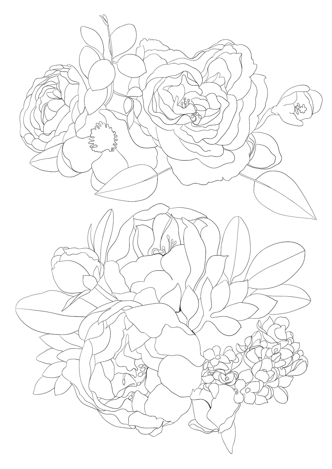 4 Printable Adult Flowers Coloring Pages, PNG, A4, Roses and ...