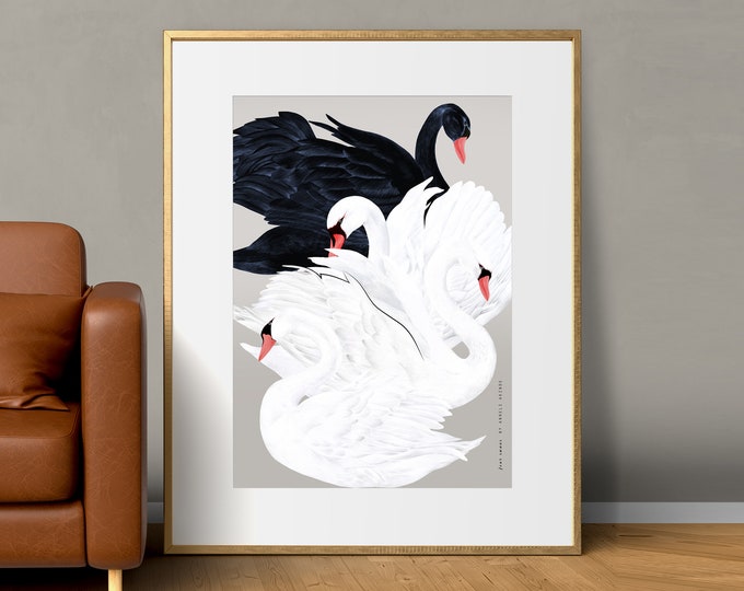 Four Swans Elegant Art Print