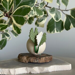 May include: A white ceramic sphere with two green and white leaves attached. The sphere is sitting on a wooden base.