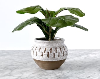 Handmade Two-Tone Speckled Studio Pottery Vase - Hand Thrown Artisan Rustic Boho Ceramic Stoneware