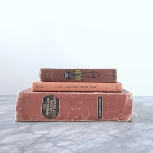 Vintage Book Stack - Red & Brown Antique Books