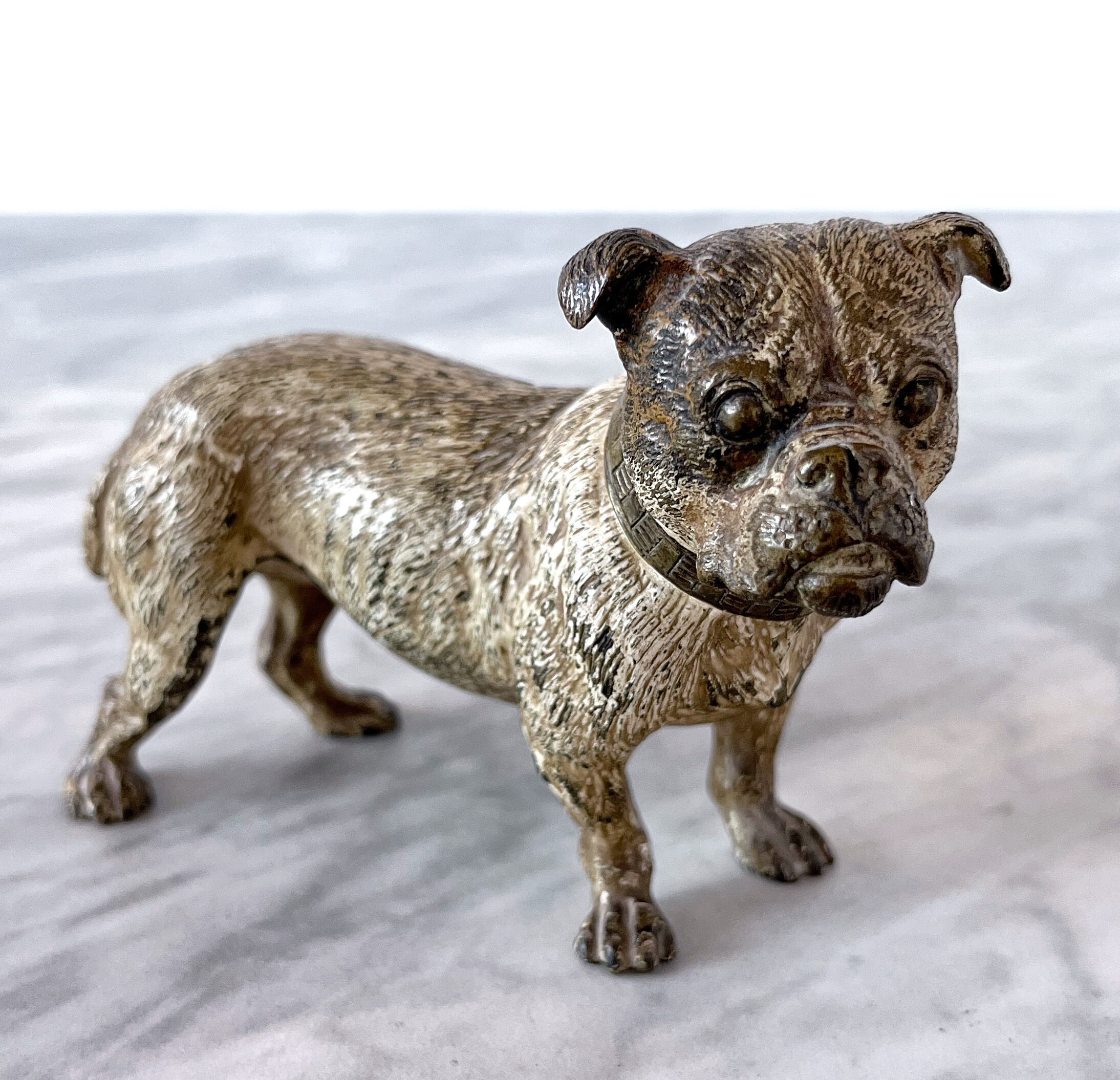 Antique 1900s Viennese Cold Painted Bronze Bulldog Statue