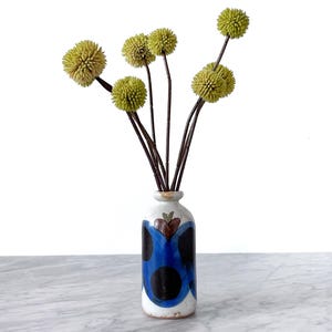 May include: A ceramic vase with a blue and black design holds several green, spherical flower stems. The vase has a white base with a blue and black pattern. The flowers are a light green color and have a textured appearance.