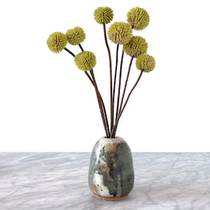 Könnte beinhalten: Ein dekoratives Blumenarrangement mit mehreren Stielen von kugeligen, chartreusefarbenen Blüten. Die Blumen sind in einer kleinen, gesprenkelten Keramikvase mit braunem Sockel angeordnet. Die Vase hat eine gesprenkelte grüne und braune Glasur.