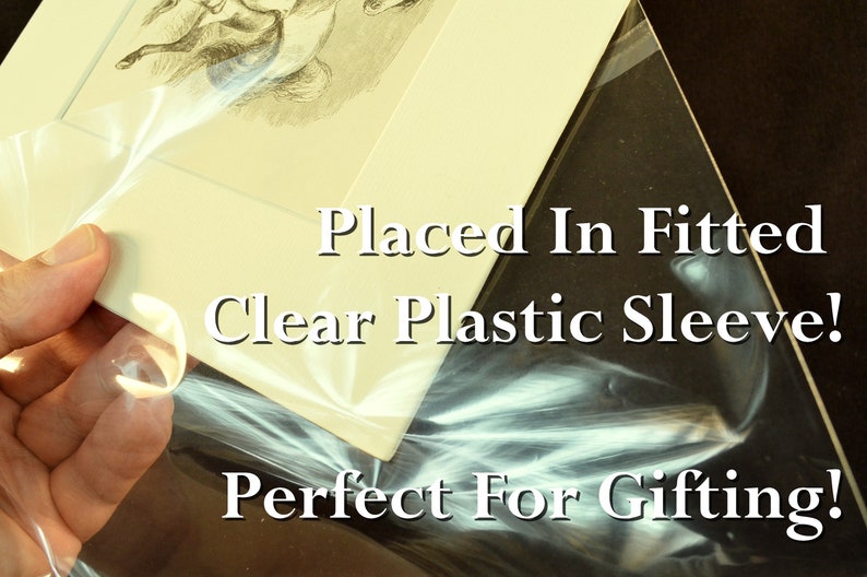 May include: A framed print is placed in a clear plastic sleeve. The text on the sleeve reads "Placed In Fitted Clear Plastic Sleeve! Perfect For Gifting!"