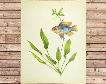 Aquarium Fish Print Wall Art Tropical Wall Decor Frameable Ready to Frame Matted