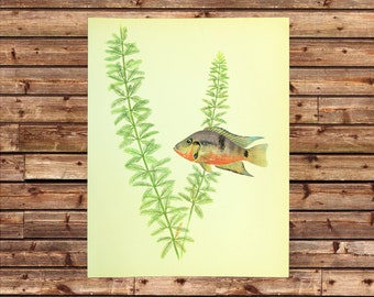 Antique Fish Art Tropical Fish Wall Art Decor Beach House Decor Aquarium Fish Print Aquatic Plant Frameable Diver Gift