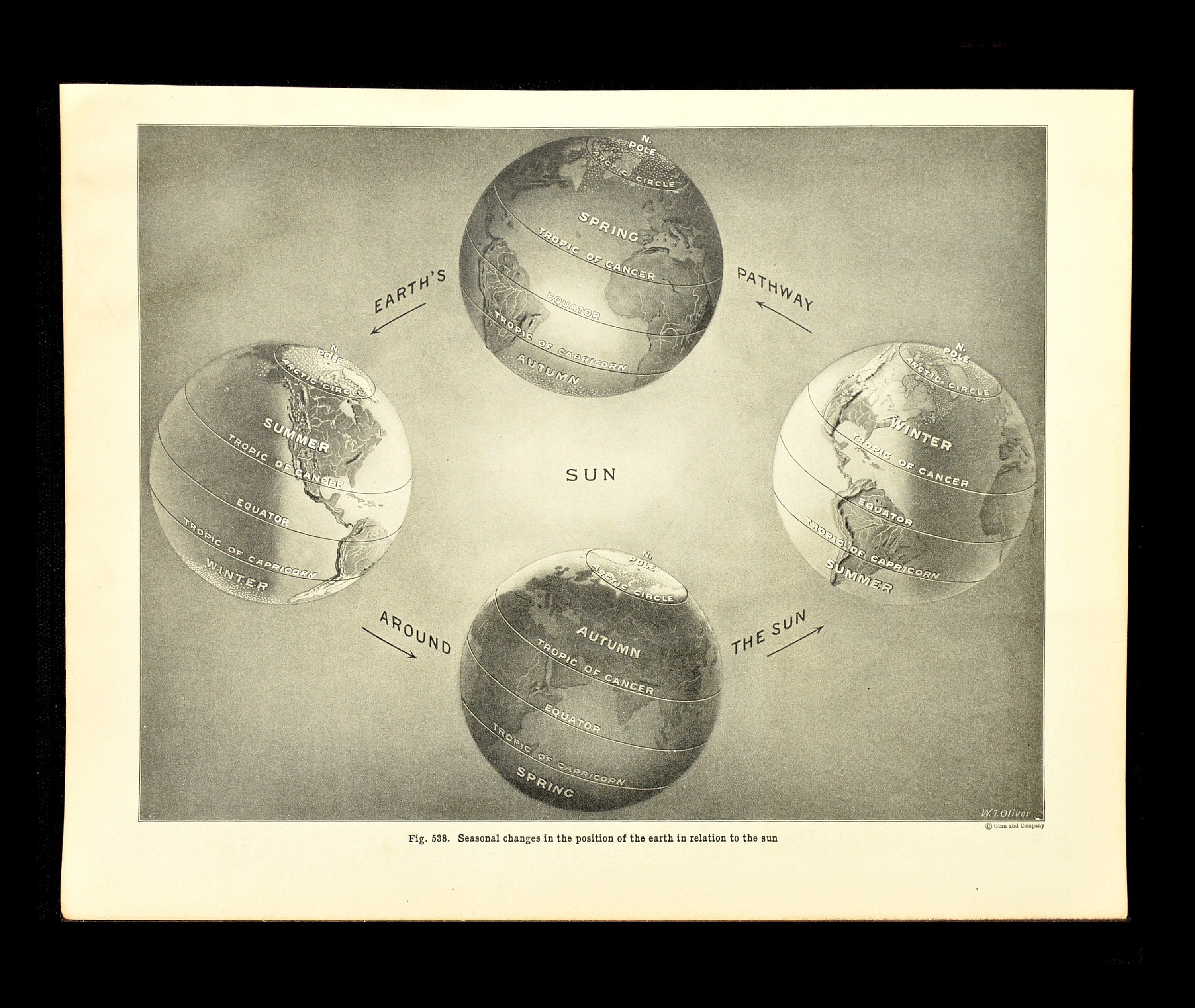 Seasonal Chart Print Earths Rotation Print Seasons Wall Art | Etsy
