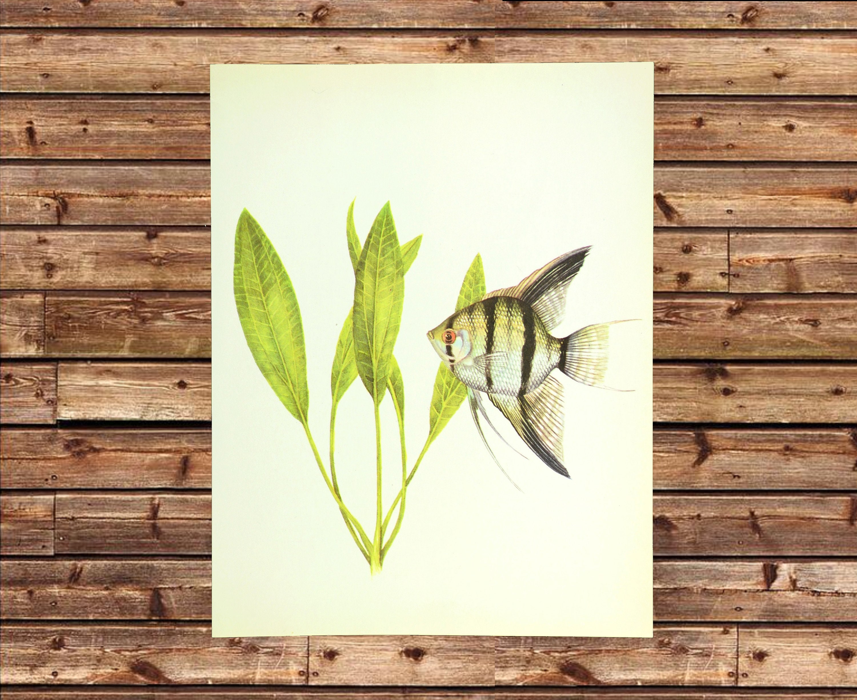 SALE/83%OFF】 WindEraオンラインストアパネルアート Wall 26-Vintage