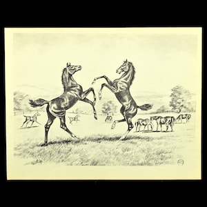 Playful Horses Print Playing Horse Wall Art Decor Frameable Ready to Frame