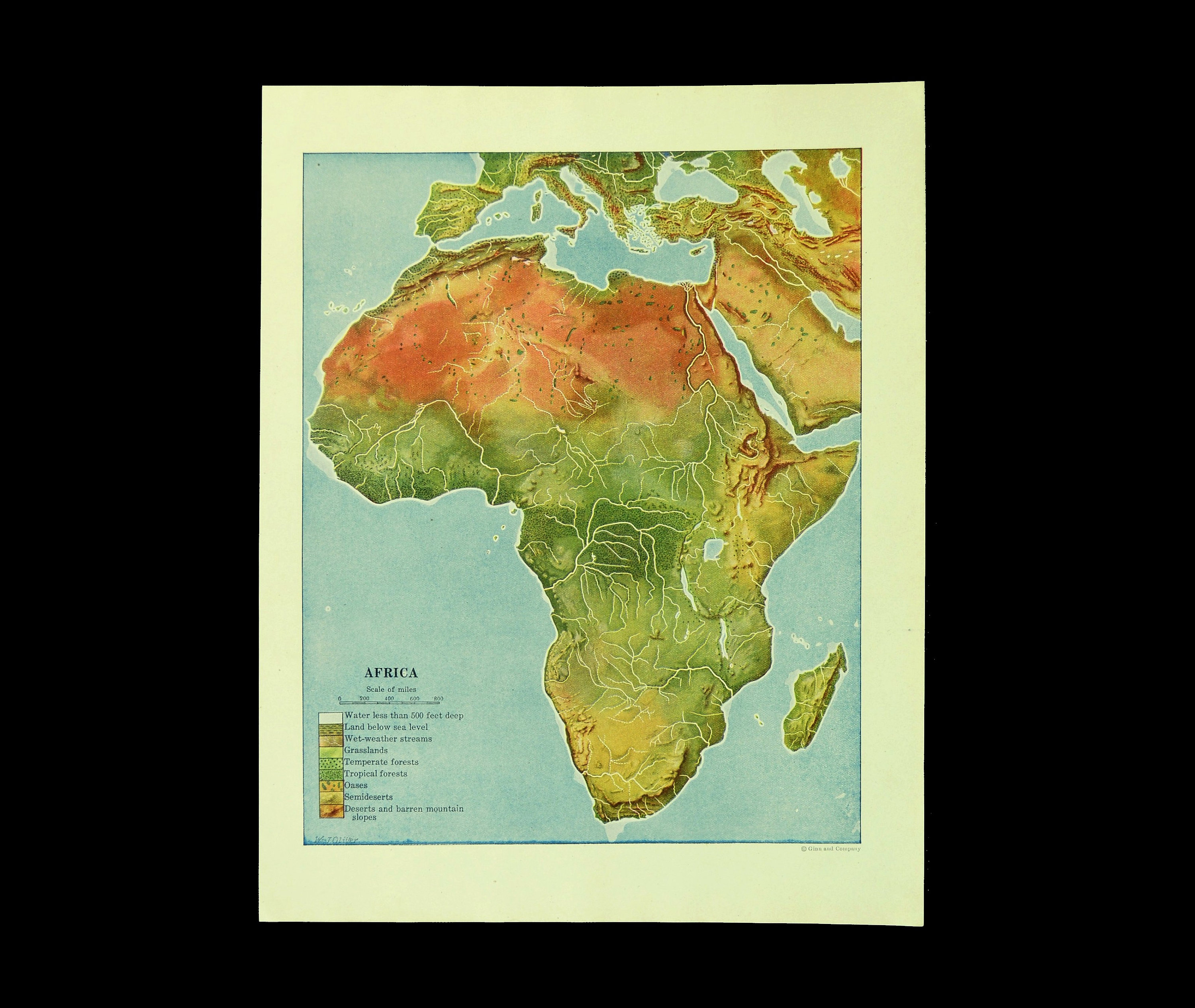 Africa Continent 3D Render Topographic Map Neutral Digital Art By Frank Ramspott Pixels