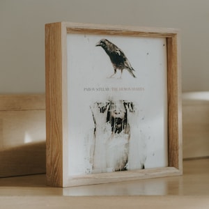 Wooden Natural Oak Vinyl Record Holder | Vinyl Sleeve Display | Vinyl Record Frame | For Single and Double Vinyl Records | Color - White
