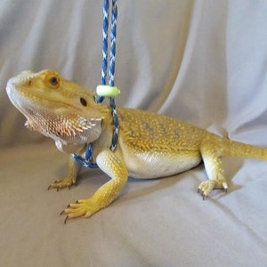 Reptile, Bearded dragon, Lizard leash, not constricting, one size fits most image 3