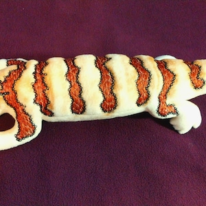 Blue tongued skink softy, low maintenance, best pet ever!