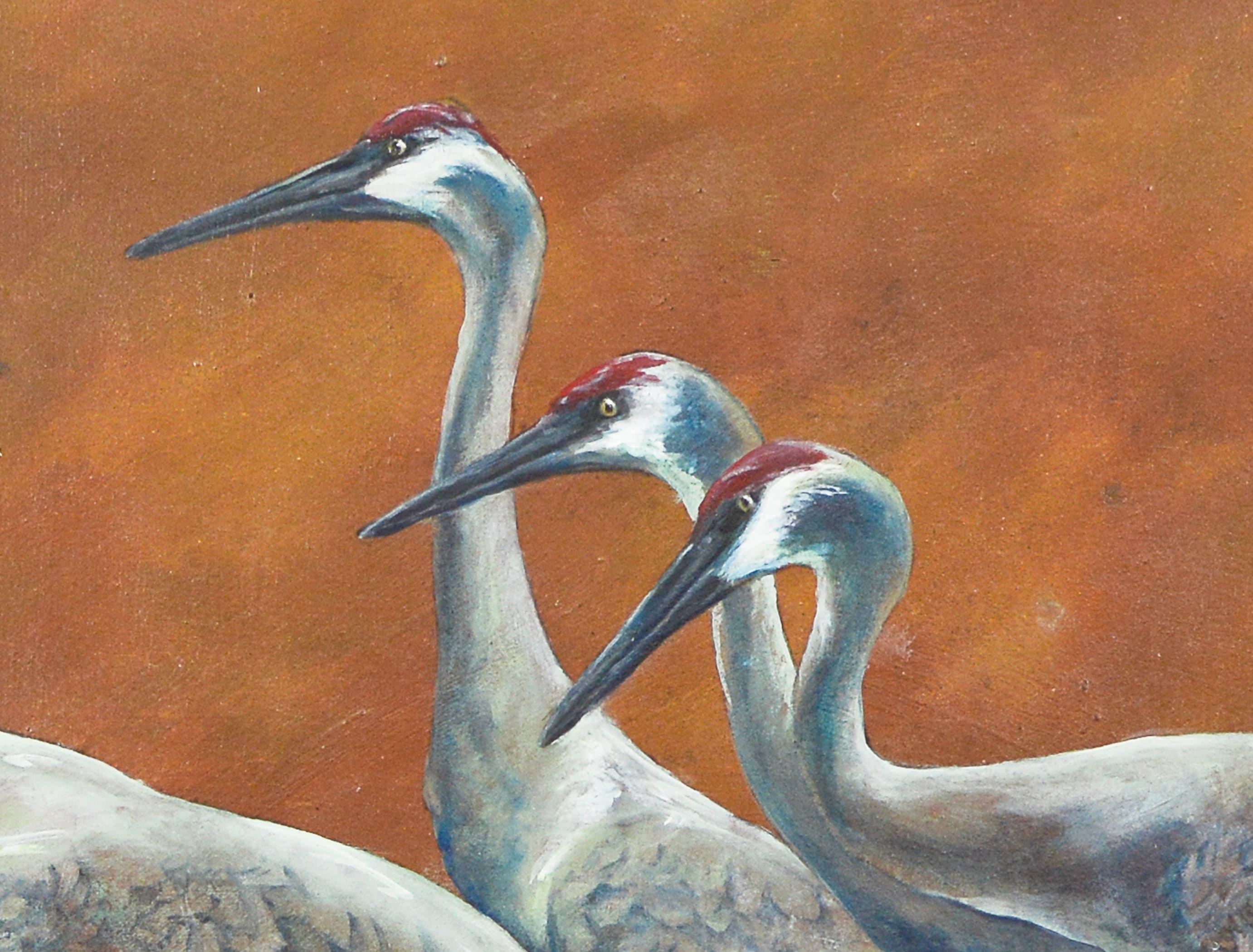 5x7 Print. Sandhill cranes from my original sandhill | Etsy
