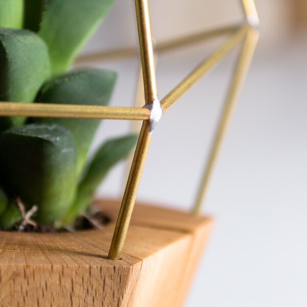 Modern Faceted Geometric - for Air Plant, Succulent and Cacti - Wood Brass Polygon Gem
