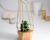 Modern Faceted Geometric Planter - for Air Plant, Succulent and Cacti - Wood Brass Polygon Gem
