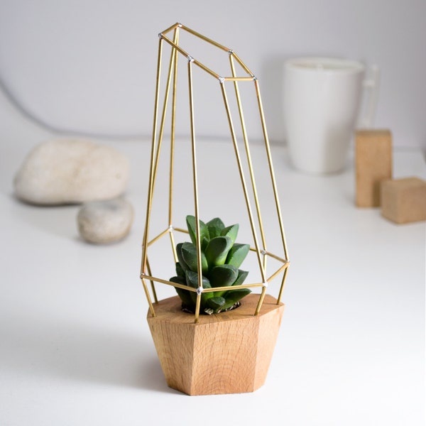 Modern Faceted Geometric Planter - for Air Plant, Succulent and Cacti - Wood Brass Polygon Gem