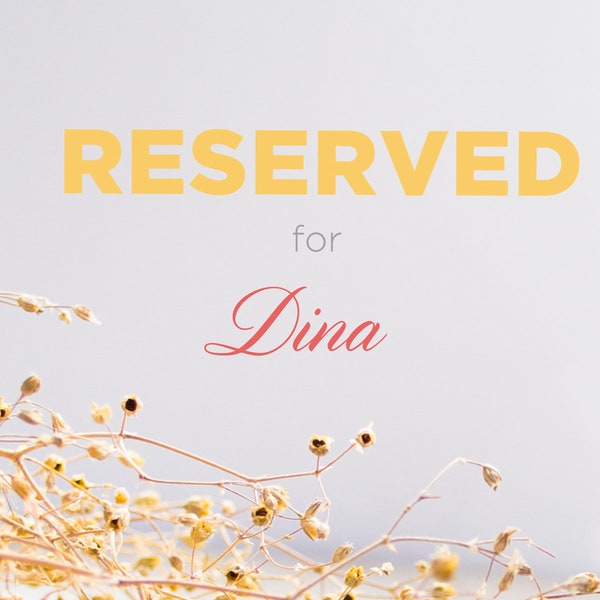 RESERVED for Dina - Set of 3 Modern Wall Hooks