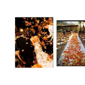 Decorative Craft 120 Assorted Rich Fall Colored Autumn Leaves For Fall Weddings, Events Decorating Or Crafting, Fall Color Artificial Leaves